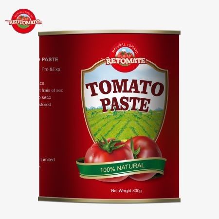 800 g Tomatenpaste in Dosen, die den internationalen Qualitäts- und Sicherheitsstandards entsprechen, einschließlich ISO HACCP BRC und FDA