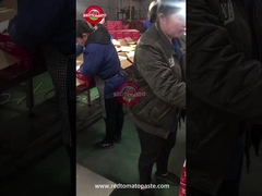 Konserven Tomatenmasse Qualitätskontrolle an der Linie